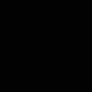 Meet your Posher, Bianca